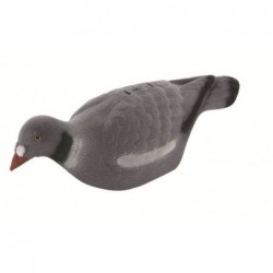 Appelant plast pigeon...